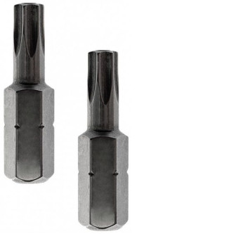 Бита Redverg Torx Tamper 25х25 (2шт.)(720441)