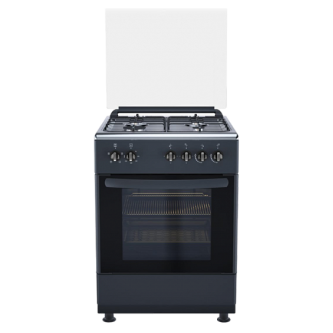 Газовая плита DeLuxe 606040.24г 004