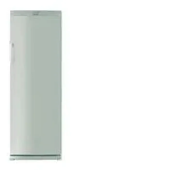 Морозильник Blomberg FSM 1670 X Морозильник Blomberg FSM 1670 X
