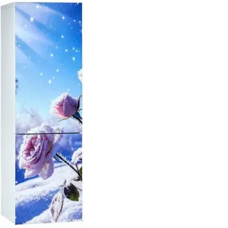 Холодильник ОРСК 175 B Glass ROSE
