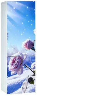 Холодильник ОРСК 177 B Glass ROSE