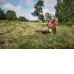 Бензопила HUSQVARNA 440 II 15 0.325 1.3 64DL HSM 9705600-35 Бензопила HUSQVARNA 440 II 15 0.325 1.3 64DL HSM 9705600-35