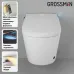 Комплект GROSSMAN инсталляция 901.K31.01.000 + унитаз GR-5702