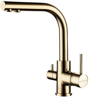 Смеситель PAULMARK Essen Es213011-G Смеситель PAULMARK Essen Es213011-G
