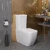 Унитаз AMBASSADOR Forsa 247K19001S Унитаз AMBASSADOR Forsa 247K19001S