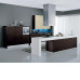 Вытяжка Falmec ALTAIR TOP isola 60 из нержавеющей стали FaSteel CVOI60.E10P2#ZZZX491F Вытяжка Falmec ALTAIR TOP isola 60 из нержавеющей стали FaSteel CVOI60.E10P2#ZZZX491F