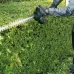 Кусторез MAKITA UH020GZ Кусторез MAKITA UH020GZ