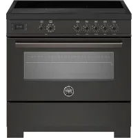 Варочный центр BERTAZZONI PRO95I1ECAT2 Варочный центр BERTAZZONI PRO95I1ECAT2