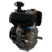 Двигатель LIFAN C192FD 6А Двигатель LIFAN C192FD 6А